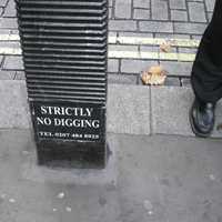 Strictly No Digging