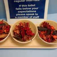 If this toilet falls below your expectations