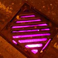 Purple gutter